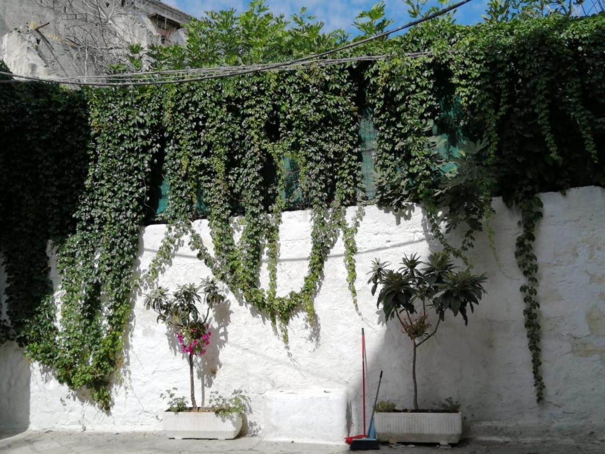 Borgo Fontana B&B Bari Extérieur photo
